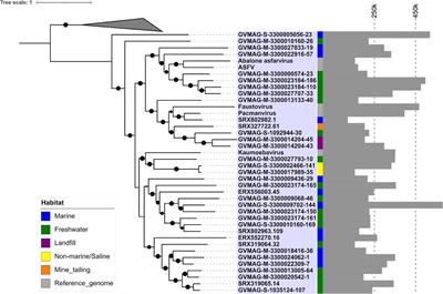 Comparative Genomics and Environmental Distribution of Large dsDNA Viruses in the Family Asfarviridae